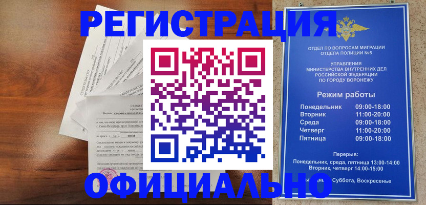 прописка поиск в Лузе